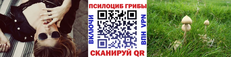 Псилоцибиновые грибы мицелий  сколько стоит  Арзамас 